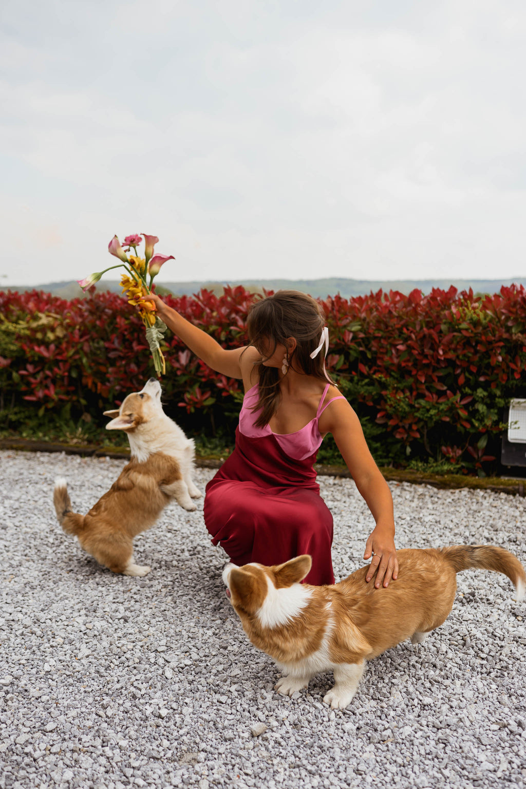 Robe Farah - rose et bordeaux