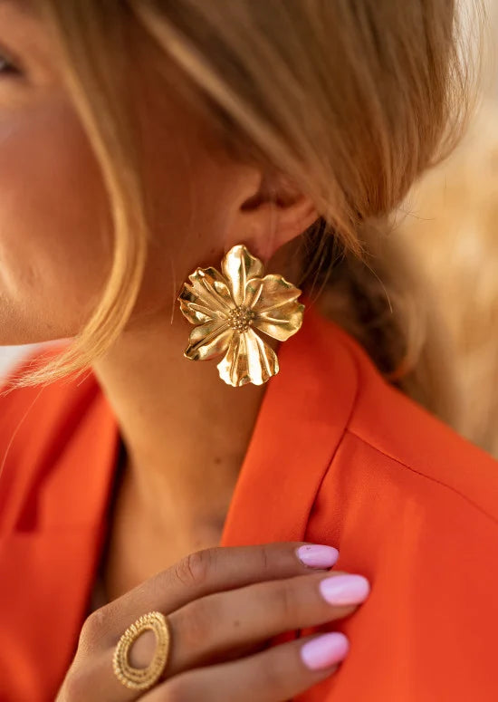 Boucles d’oreilles Herma - dorées